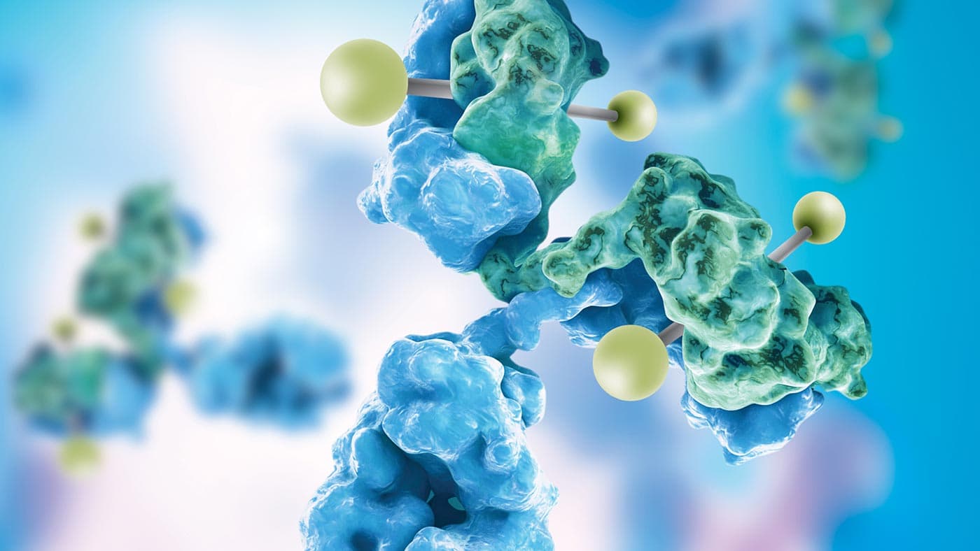 Antibody-Drug Conjugates (ADC) platform overview