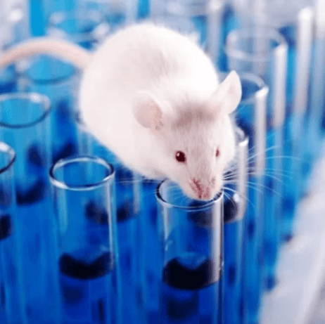 In-Vitro & In-Vivo Validation platform overview