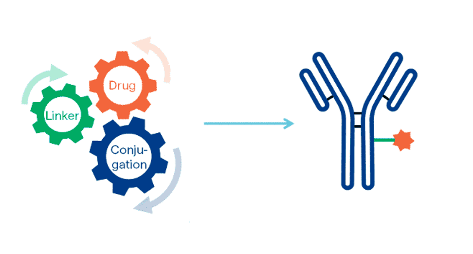 Chemistry: Lead Optimization & ADC Design platform overview