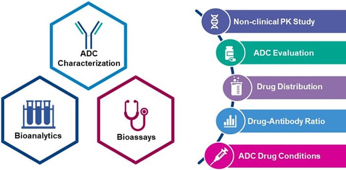 Preclinical Development platform overview