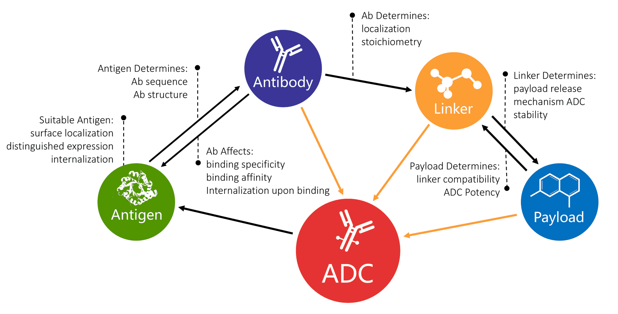 Strategic Consultation & Discovery Planning platform overview