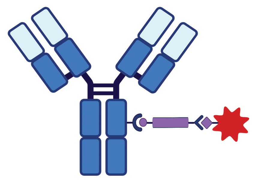 Target Identification & Therapeutic Candidate Screening platform overview