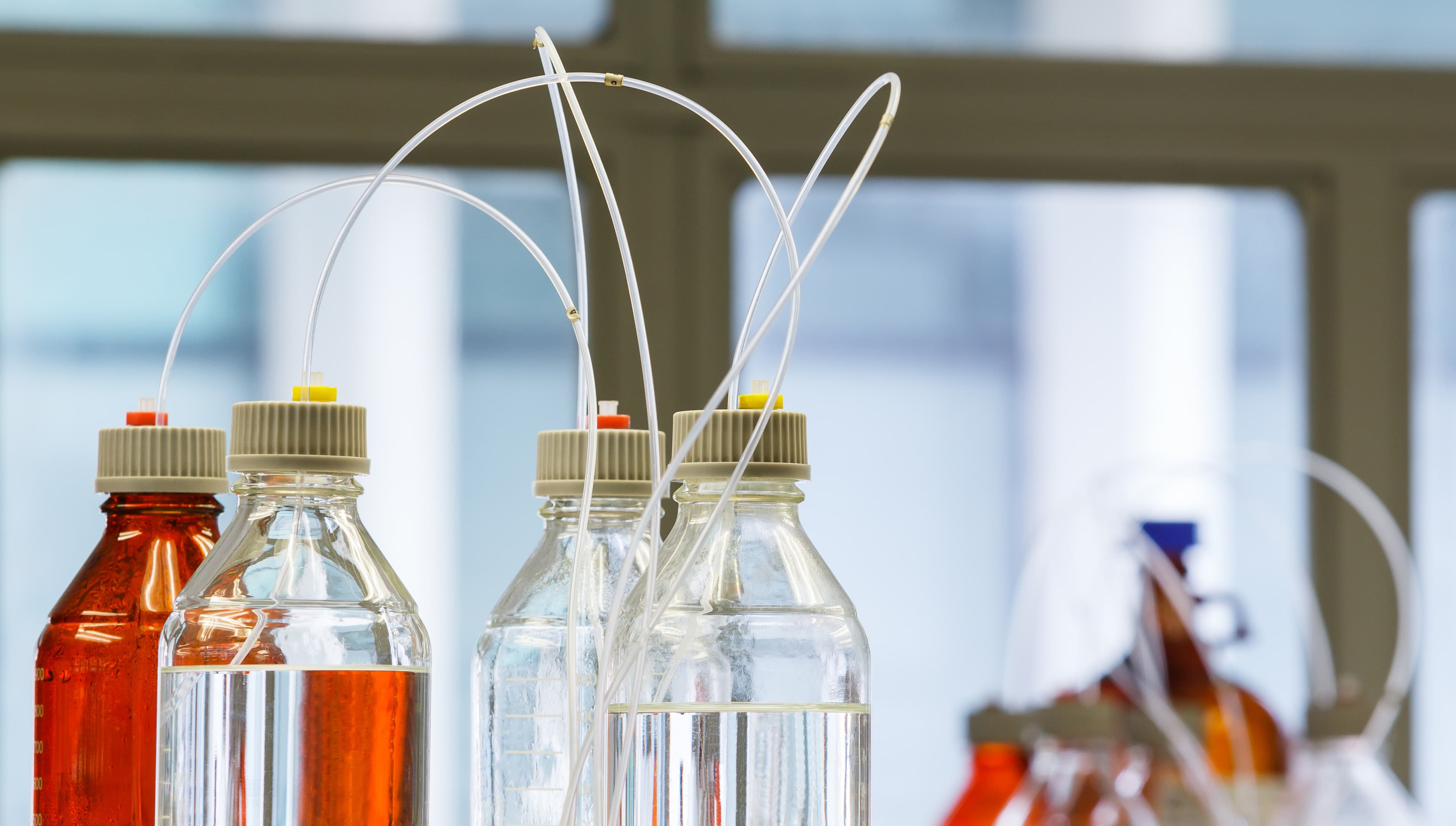 Bio-Analysis Services platform overview