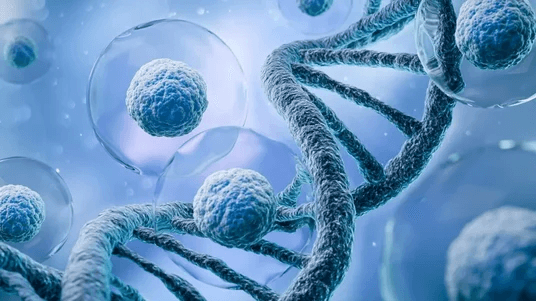 Immunogenicity platform overview