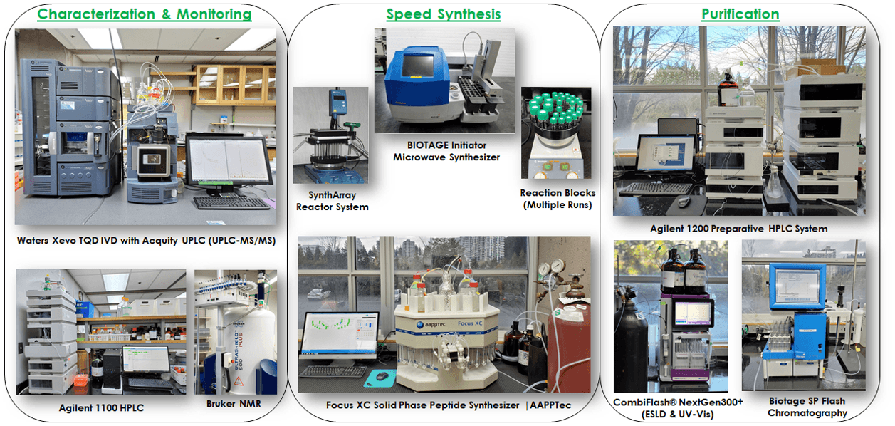 Synthesis, Purification & Analytical Characterization Platform