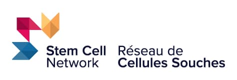 Stem Cell Network